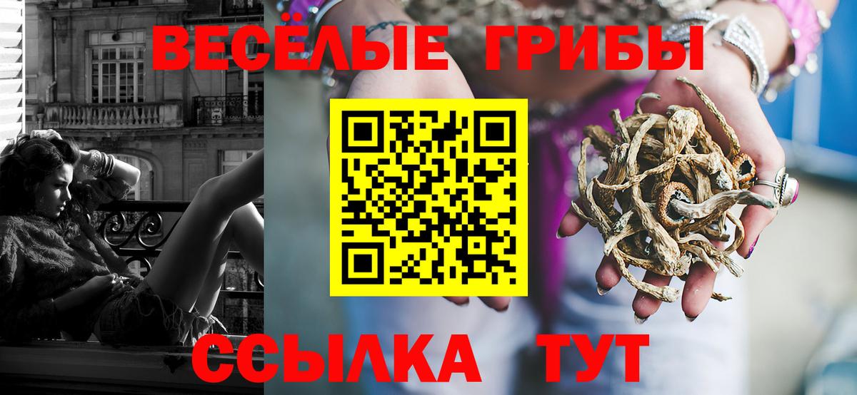 Псилоцибиновые грибы MAGIC MUSHROOMS Москва